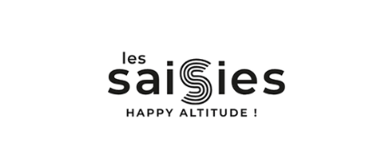 les saisies