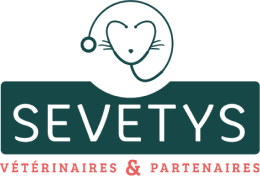 logo sevetys