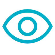eye