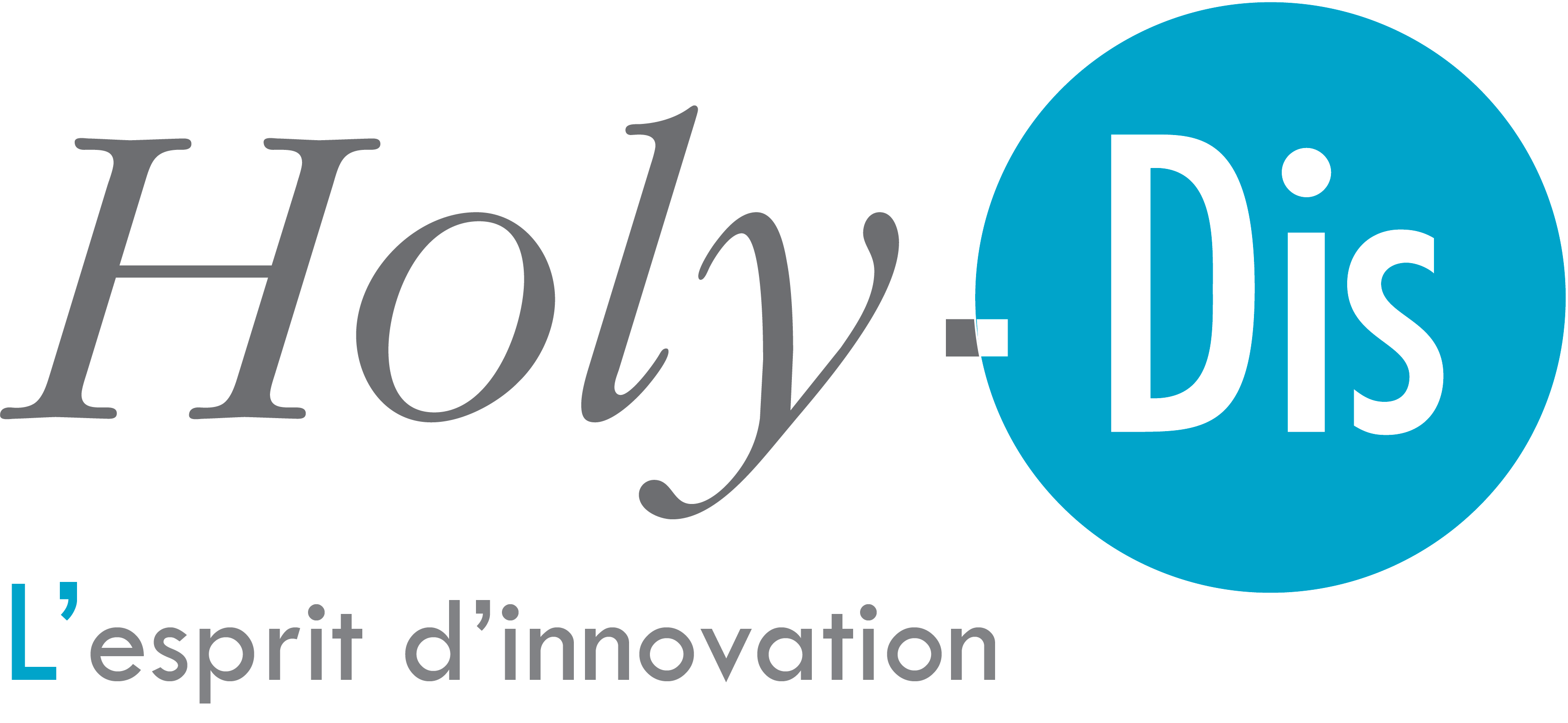 logo-holydis