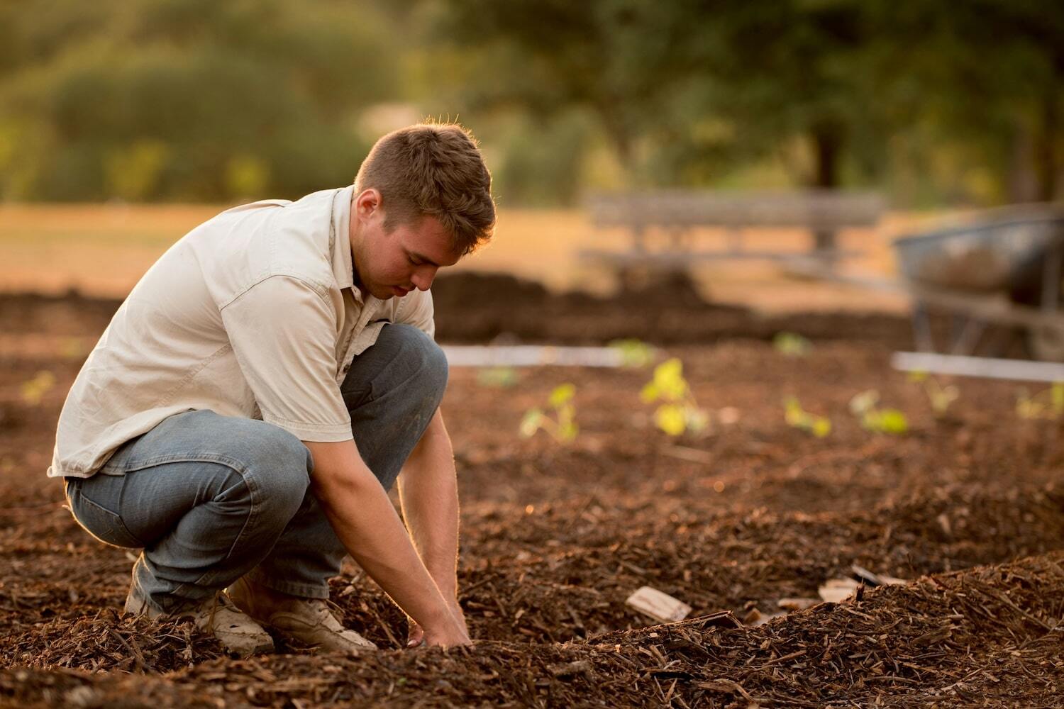 penurie main doeuvre agricole recrutement